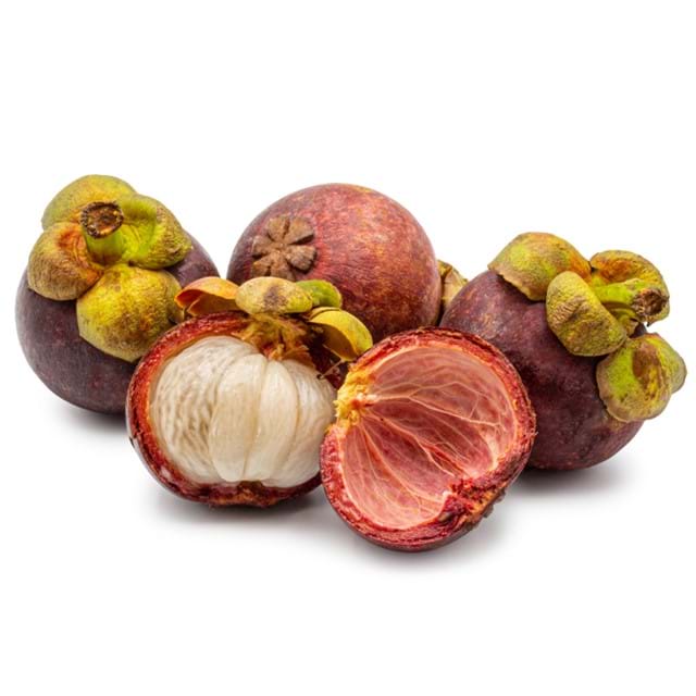 MANGOSTEEN