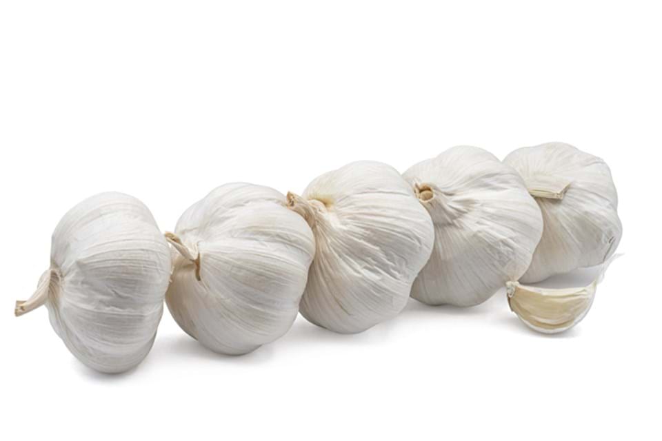 Garlic