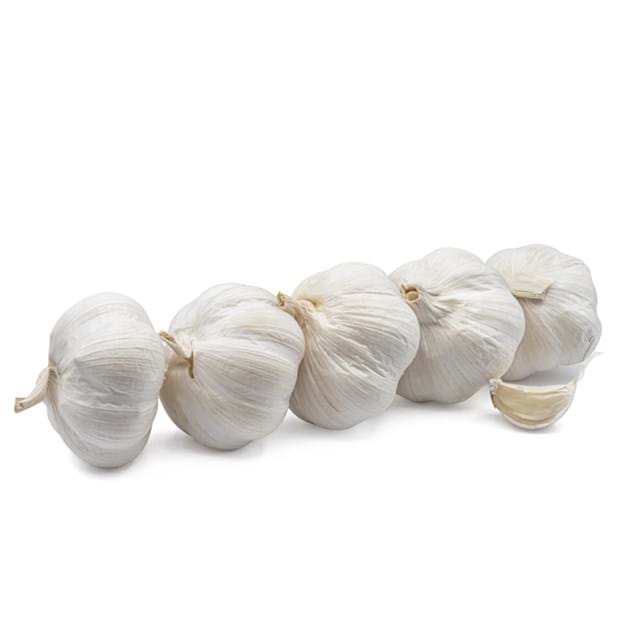 knoflook