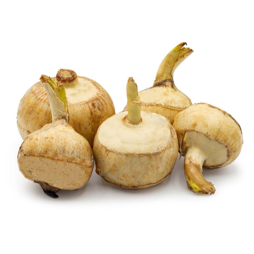 Pijlkruidknol