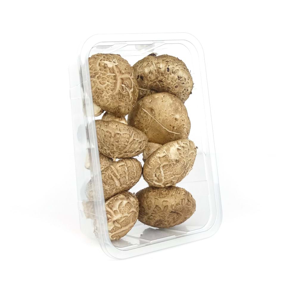 Shiitake China Medium