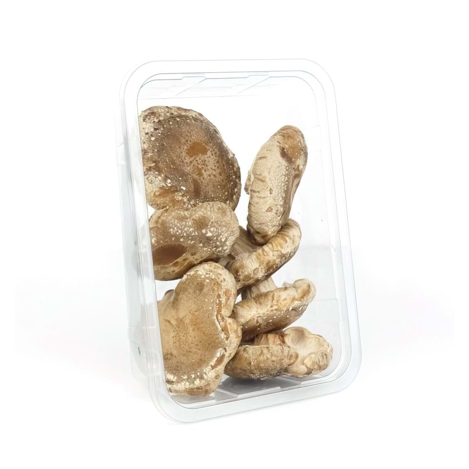 Shiitake NL